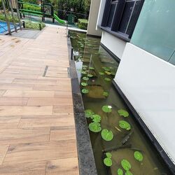 The Lilium (D19), Condominium #498360281